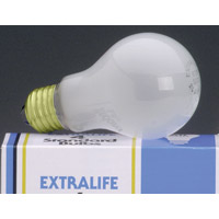 INCANDESCENT A BULB BRASS BASE LONG LIFE 25 Watt Frost Packed 120 each