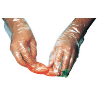 DISPOSABLE POLYETHYLENE GLOVES Large (500) 