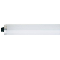 T8 FLUORESCENT BULB  F96T12/CW/HO packed 25