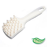 HOST CARPET SPOTTING BRUSH  Hand held carpet spotting brush 