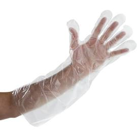 ELBOW LENGTH EXTRA LONG POLYETHYLENE GLOVES Paceked 100, 21.5" in length 